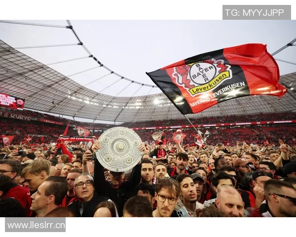 英超积分100球队年度表现谁领风骚